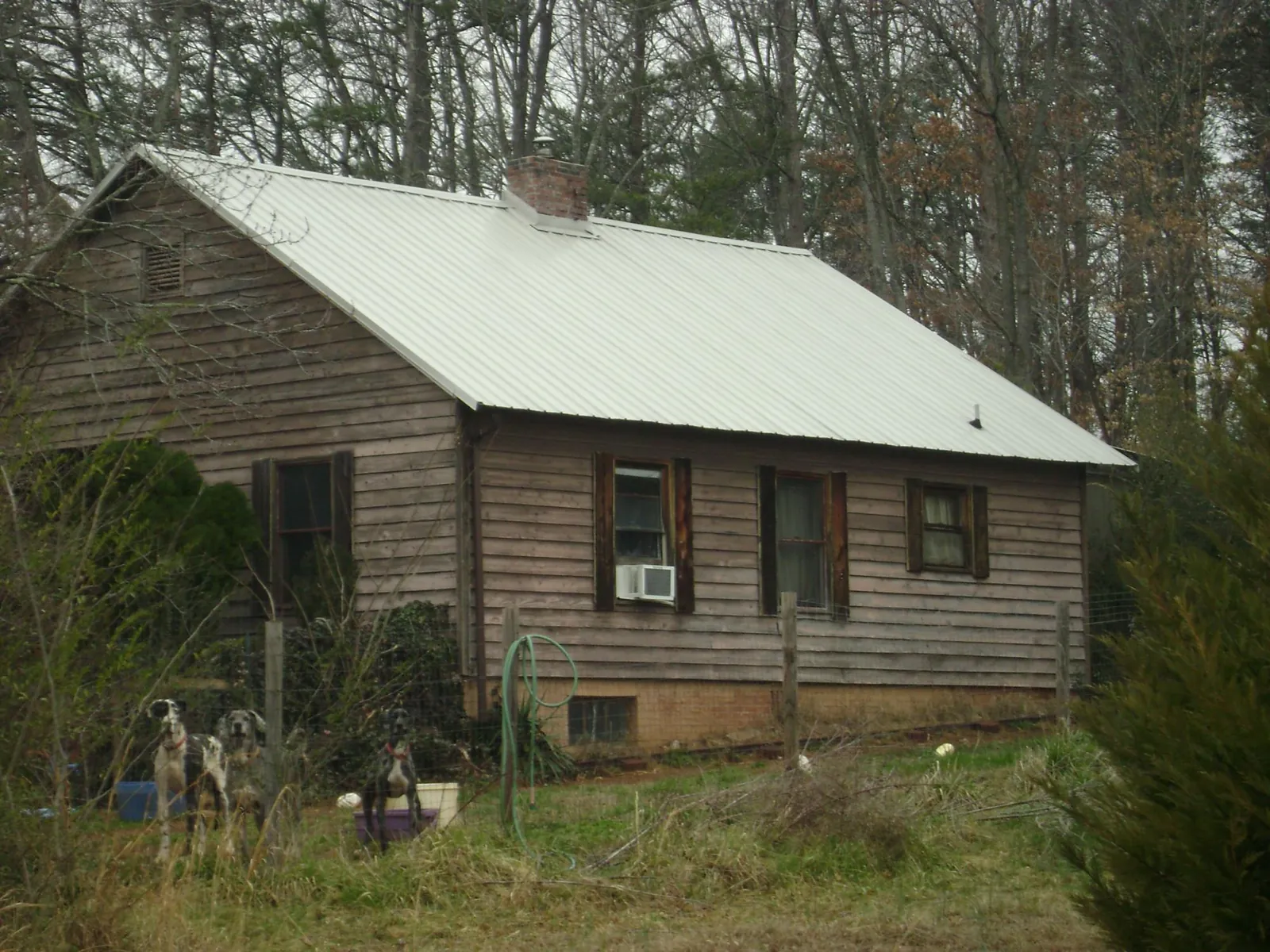 White metal roof on an old wood sided farmhouse, from a Asphalt Shingle Roof Repair job in Nada